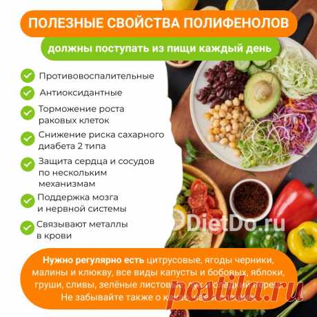 Полифенолы: что это такое, польза и вред, список продуктов, где содержатся полифенолы (полные таблицы). Добавки с полифенолами: как выбрать правильно и не потратиться на пустышку 👍 Честные обзоры добавок для здоровья на DietDo.ru! #похудение #ппменю #здоровье