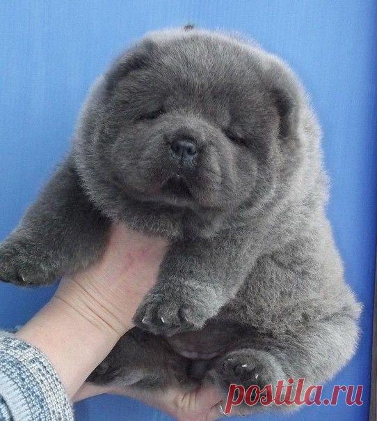 Мой Мир@Mail.Ru