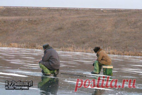 Взаимосвязь рыбалки по перволедью с по / Богатая добыча