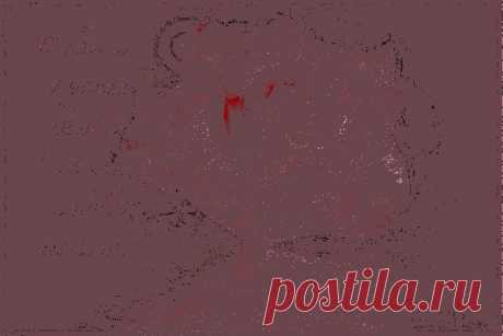 мерцающая открытка