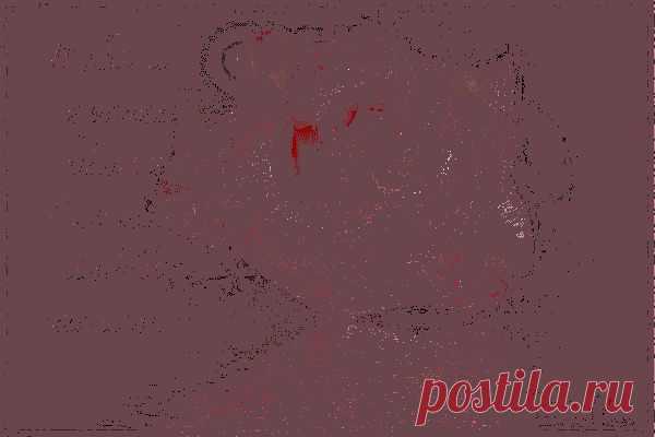 мерцающая открытка