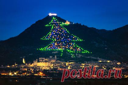 В Европе зажгли самую большую елку в мире. В итальянской коммуне Губбио зажгли самую большую Рождественскую елку в мире. Гирлянду расположили на склоне горы Инджино, сообщает издание Wanted in Rome. Высота инсталляции достигает 750 метров. Конструкция подсоединена к кабелям длиной 8,5 километра. Венчает композицию большая звезда.