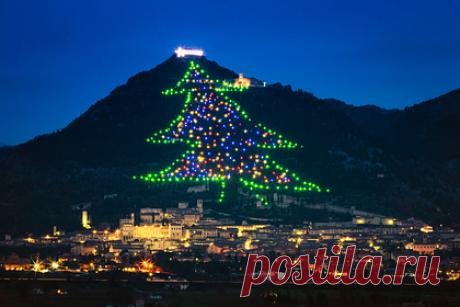 В Европе зажгли самую большую елку в мире. В итальянской коммуне Губбио зажгли самую большую Рождественскую елку в мире. Гирлянду расположили на склоне горы Инджино, сообщает издание Wanted in Rome. Высота инсталляции достигает 750 метров. Конструкция подсоединена к кабелям длиной 8,5 километра. Венчает композицию большая звезда.
