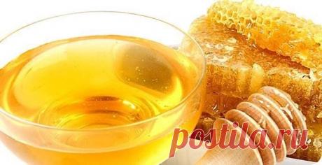 Пять рецептов для укрепления организма на основе меда