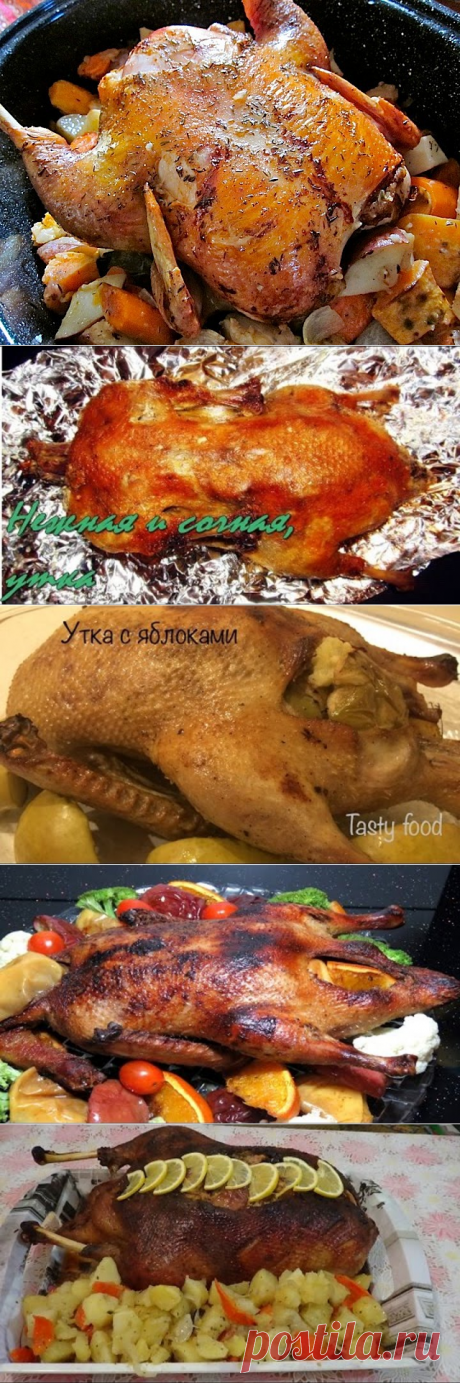 (81) Одноклассники