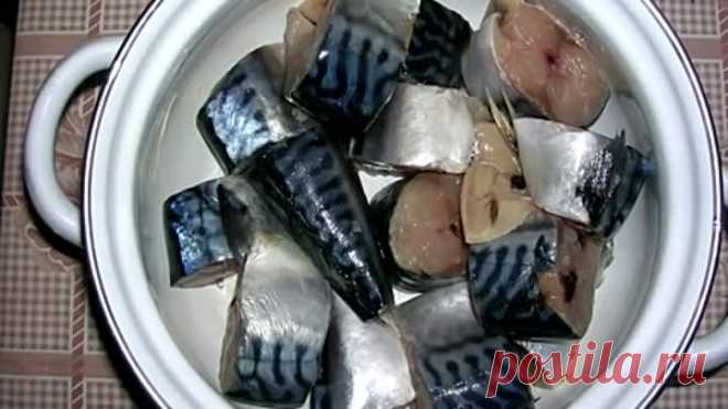 Засолка скумбрии, простой и вкусный рецепт соленой рыбы