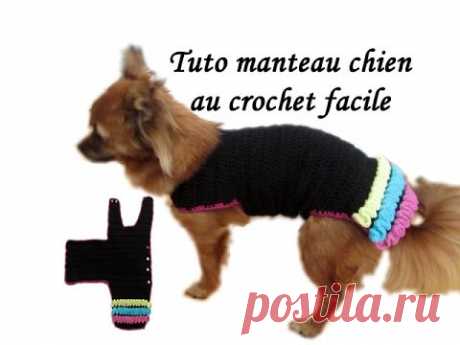 TUTO MANTEAU CHIEN CROCHET TOUTES TAILLES Dog Clothing knitting crochet wiggly all size