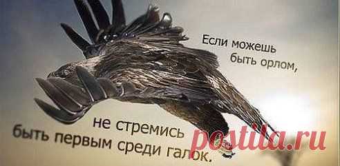 Купила Попугая.....Спрашиваю:
- "Ну что...... ДУРАЧОК, говорить можешь..?!"
....- Я-то МОГУ, отвечает, а вот ты, дура, ЛЕТАТЬ 
УМЕЕШЬ..?!..))