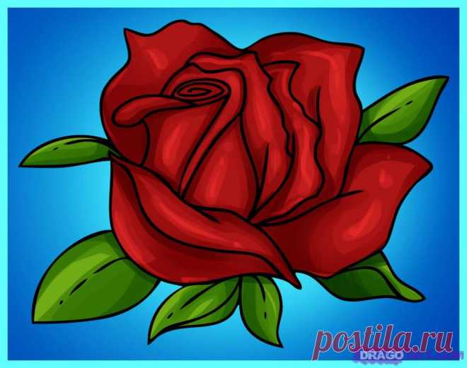 cool drawings of roses and hearts - Buscar con Google