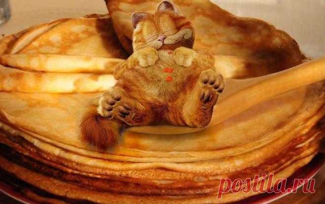 Всё! Коту масленица!.