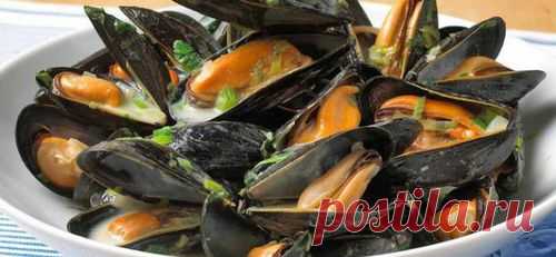 Это едят в Норвегии: норвежские мидии с пивом