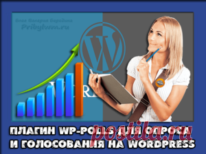 WordPress опрос и голосование - Как сделать быстро самому на сайт?