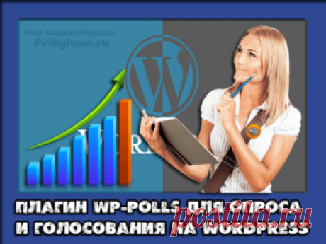WordPress опрос и голосование - Как сделать быстро самому на сайт?