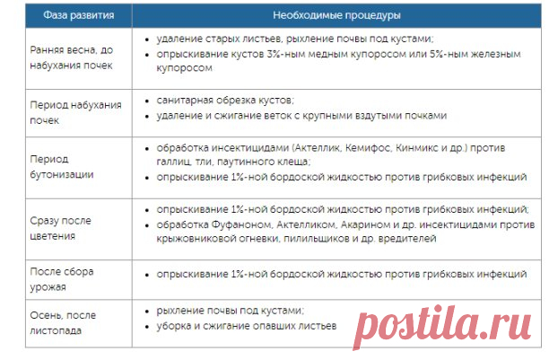 5 ОШИБОК ПРИ ВЫРАЩИВАНИИ СМОРОДИНЫ
Сохраните, чтобы не потерять!

Ошибка 1. Вы считаете, что смородину не нужно поливать
Смородина, особенно черная, очень плохо переносит недостаток влаги в почве. Это приводит к задержке роста кустов, а также существенной потере урожая – ягод завяжется гораздо меньше, они вырастут мелкими, сухими и с толстой плотной кожицей.

Однако не менее вреден и избыточный полив, который приводит к растрескиванию ягод, поражению грибковыми болезнями и...