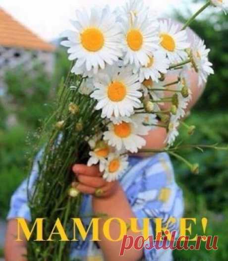 Трогательный стих❤ 
Мама, дай покушать!-Мама, дай попить!
-Мама, ту игрушку
Надо мне купить!
-Мама, вытри сопли!
-Мама, обними!
-Мамочка, промокли
Сапоги мои.
То не спит, то хнычет,
То кругом бардак.
Целый день талдычу
Я примерно так:
-Сын, ты не голодный?
-Все, пойдем гулять! 
-Дай нос - не холодный?
-На горшок и спать!
День сурка окончен,
Наконец-то спит
Мой родной комочек -
Маленький бандит.
Шепот среди ночи:
"Мам, не спится мне.
Страшная там очень
Тень на потолке.
Будь со мною рядом!"