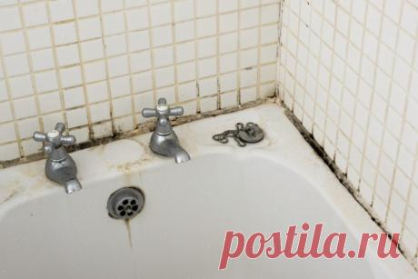 Черная плесень в ванной: как удалить? Наверное, не найдется такого человека, который бы не столкнулся в ванной комнате или на кухне с черной плесенью. Какие причины могут быть в появлении плесени? Главное, как удалить её с поверхности сте…