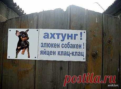 Не могла не поделиться,смеялась до слёз!!!!