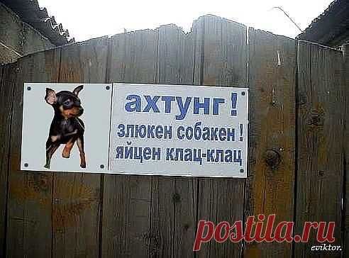 Не могла не поделиться,смеялась до слёз!!!!