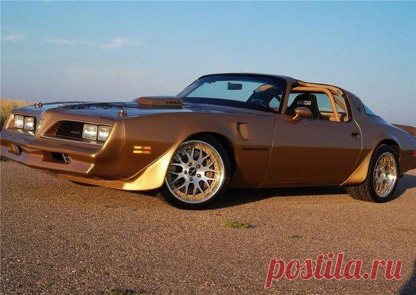 1978 Pontiac Trans AM / Только машины