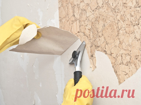 Хотите снять старые обои без шума и пыли: рассказываю, как это можно легко сделать | Игорь Волосков | Яндекс Дзен