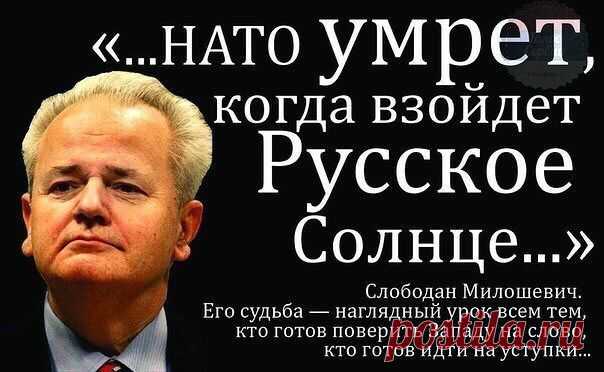сатира | Фотографии 1-й Украинский ИНТЕР-ФРОНТ | 12973 фото | Группы Мой Мир