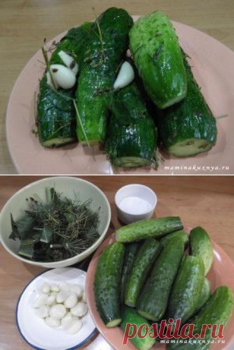 Быстрые малосольные огурцы в пакете | Мамина кухня