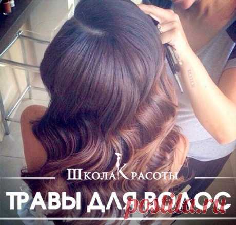 Травы для красивых волос ✨