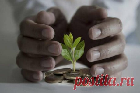 Как не тратить много: система, которая научит управлять финансами