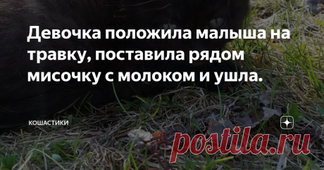 Девочка положила малыша на травку, поставила рядом мисочку с молоком и ушла. Котенка Алёнка подобрала на улице. Он был маленький, грязный и громко пищал. Детское сердечко сжалось от жалости, а на огромных серых глазках выступили слезы. Подобрала и принесла домой.
Дома Алёнка накормила малыша молоком и устроила ему кроватку из коробки из-под обуви: постелила фланелевую тряпочку, а вниз -  старый мохеровый шарф. Коробку Алёнка поставила рядом со своей кроватью.
Алёнкиной