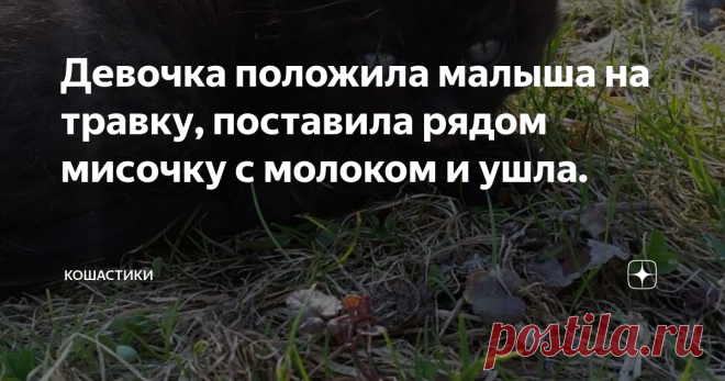 Девочка положила малыша на травку, поставила рядом мисочку с молоком и ушла. Котенка Алёнка подобрала на улице. Он был маленький, грязный и громко пищал. Детское сердечко сжалось от жалости, а на огромных серых глазках выступили слезы. Подобрала и принесла домой.
Дома Алёнка накормила малыша молоком и устроила ему кроватку из коробки из-под обуви: постелила фланелевую тряпочку, а вниз -  старый мохеровый шарф. Коробку Алёнка поставила рядом со своей кроватью.
Алёнкиной