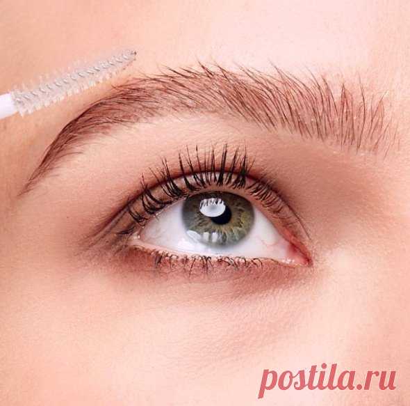 Лучшее масло для бровей и ресниц