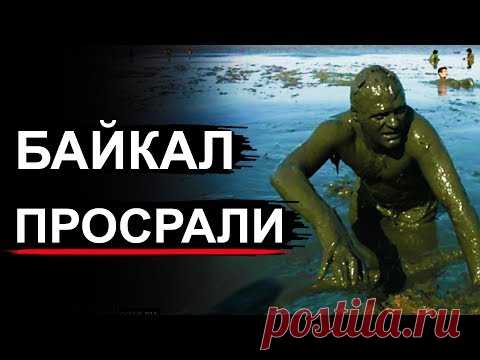 Байкал превращается в болото