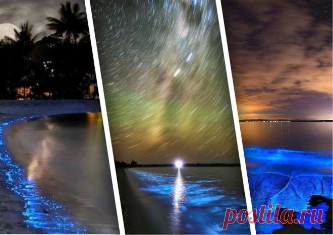 🎁 Светящаяся вода острова Ваадху. Расскажу в чем там дело | 🎁 СУПЕР ПОДАРОК 🎁 | Яндекс Дзен