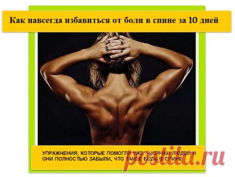 Клиника лечения позвоночника г. Чебоксары - Новая книга Доктора Алексеева: Как избавиться от боли в спине за 10 дней. Скачайте бесплатно!