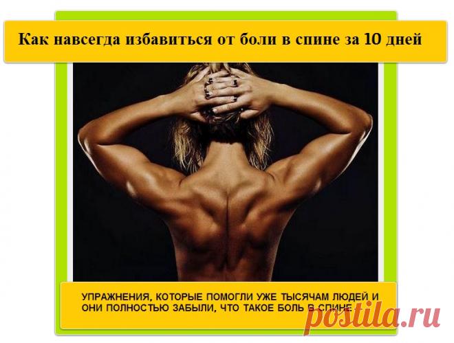 Клиника лечения позвоночника г. Чебоксары - Новая книга Доктора Алексеева: Как избавиться от боли в спине за 10 дней. Скачайте бесплатно!