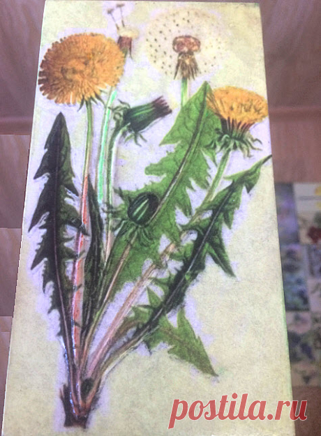 Keramicheskaja plitka_Plitka ruchnoj raboty_plitka keramicheskaja_dekor plitkoj_plitka dlja sten_plitka flora_plitka dlja mebeli_dekor mebeli_plitka s rastenijami_dekor kuhni_dekor vannoj_ panno keramicheskoe_plitku dekorativnuju kupit'_plitka s cvetami_dizajnerskaja plitka_avtorskaja plitka_dekorativnaja plitka_kuhonnyj fartuk_plitka gerbarij_plitka pod zakaz