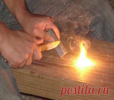 Я выживаю везде.