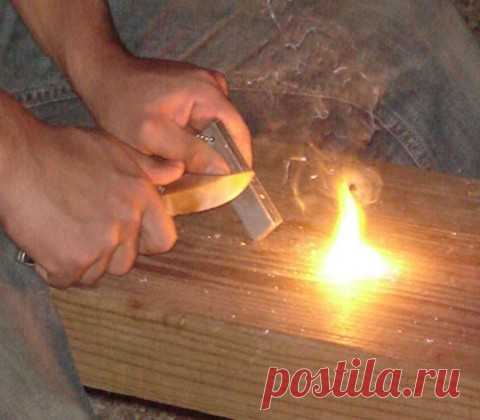 Я выживаю везде.