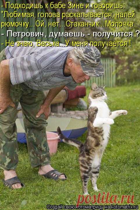 Мысли вслух