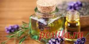 Какие ароматы улучшают сон? : Полезные советы : Дом : Subscribe.Ru