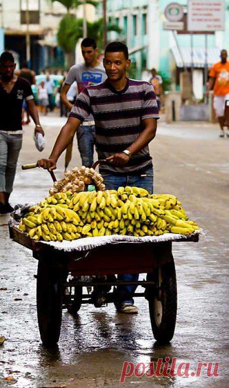 Куба либре / Туристический спутник
