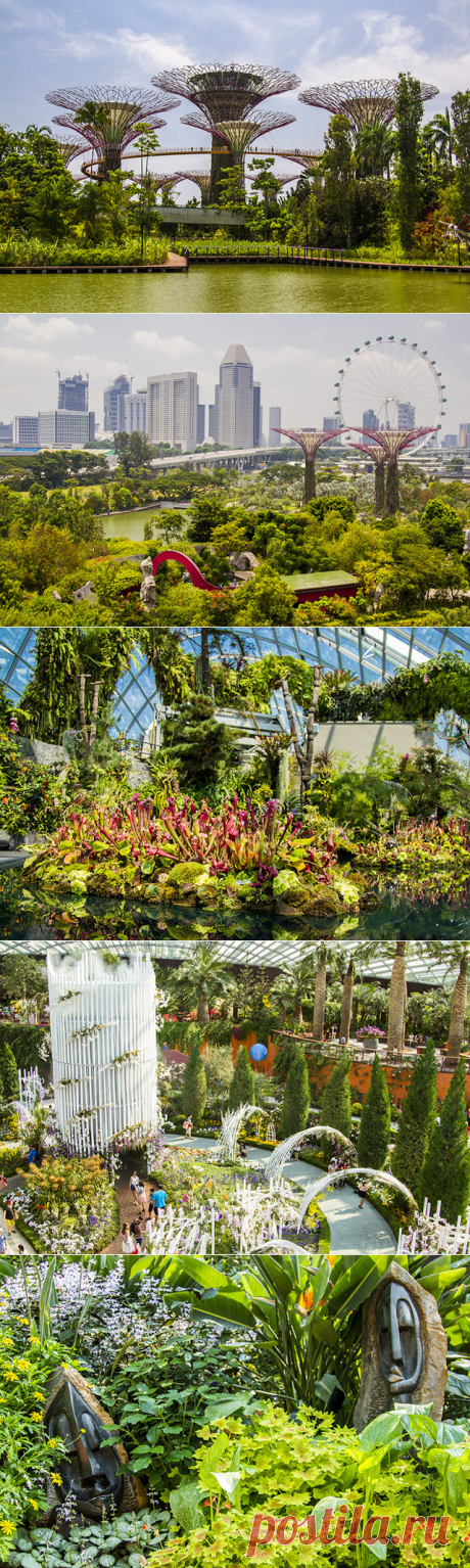 АБВ-мобиль: Gardens by The Bay — тропический парк «Сады у залива» в Сингапуре – отзывы и впечатления туристов с множеством фотографий