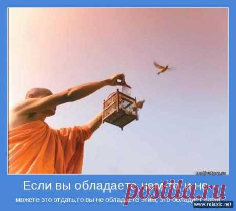 Позитивные мотиваторы (115 штук) | Релаксик