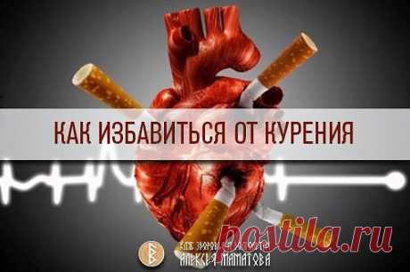 КАК ИЗБАВИТЬСЯ ОТ КУРЕНИЯ
#просьбы_подписчиков_КлубМаматова
Курение оказывает одно из самых отрицательных влияний на деятельность сердечно-сосудистой системы. Примерно 25 % болезней сердечно-сосудистой системы вызваны курением. Курящие люди в два раза чаще умирают, чем не курящие.
Проблемы с сердцем возникают у начинающего курильщика буквально с первой затяжки, а со временем патологические изменения, вызванные сигаретным дымом, нарастают и становятся необратимыми. И все мы с вами знаем, что из