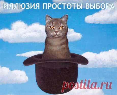 Фотографии на стене сообщества | 19 748 фотографий | ВКонтакте