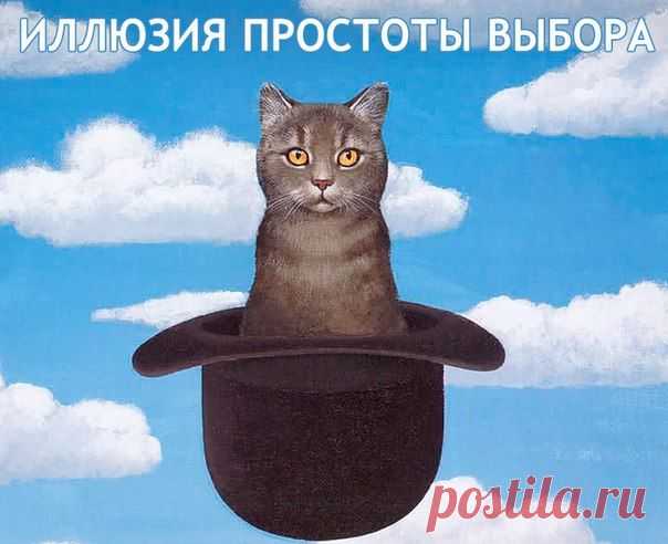 Фотографии на стене сообщества | 19 748 фотографий | ВКонтакте