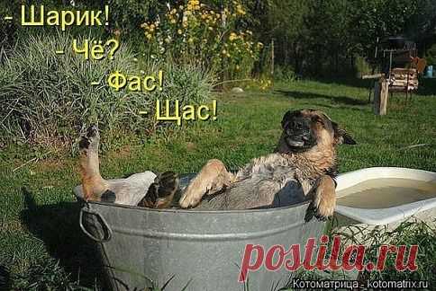 Мой Мир@Mail.Ru