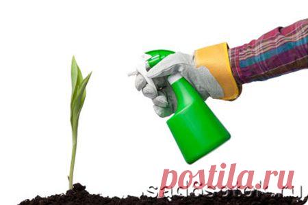 Как опылить плодовые фруктовые деревья в саду