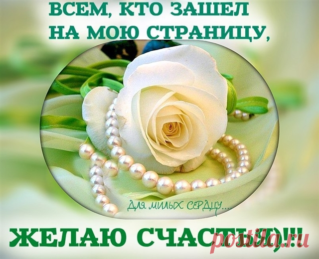 Фотографии / в Кругу Друзей - социальная сеть
