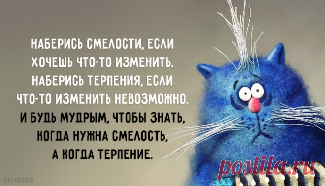 Вот это точно!